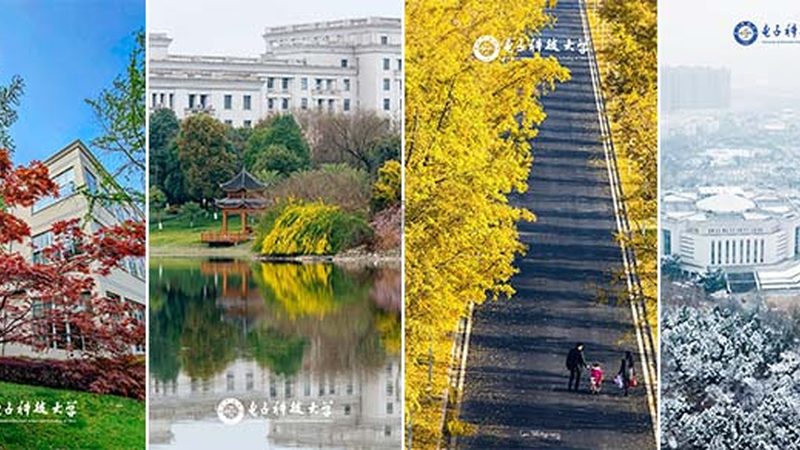 高密度线路板：揭秘其背后的技术奥秘与报价**