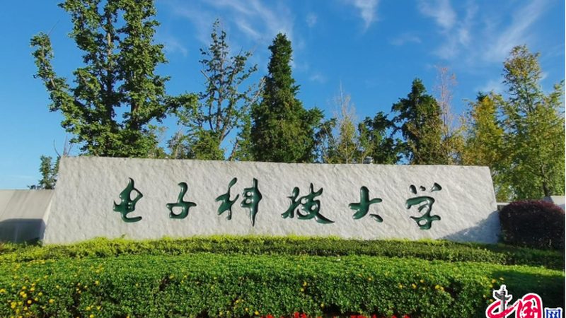 连接器选型：揭秘如何从众多选项中找到最佳匹配**